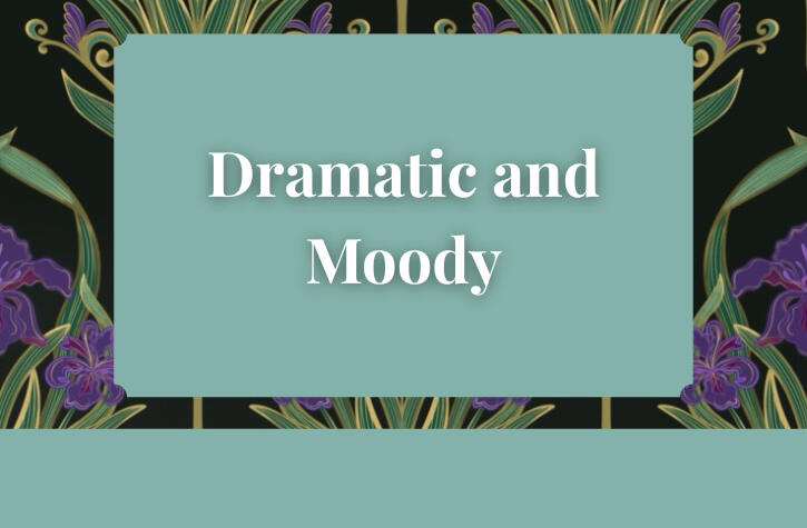 From Art Deco Glam to Baroque Florals, you’ll find bold, elegant, and eye-catching designs in rich colors here.